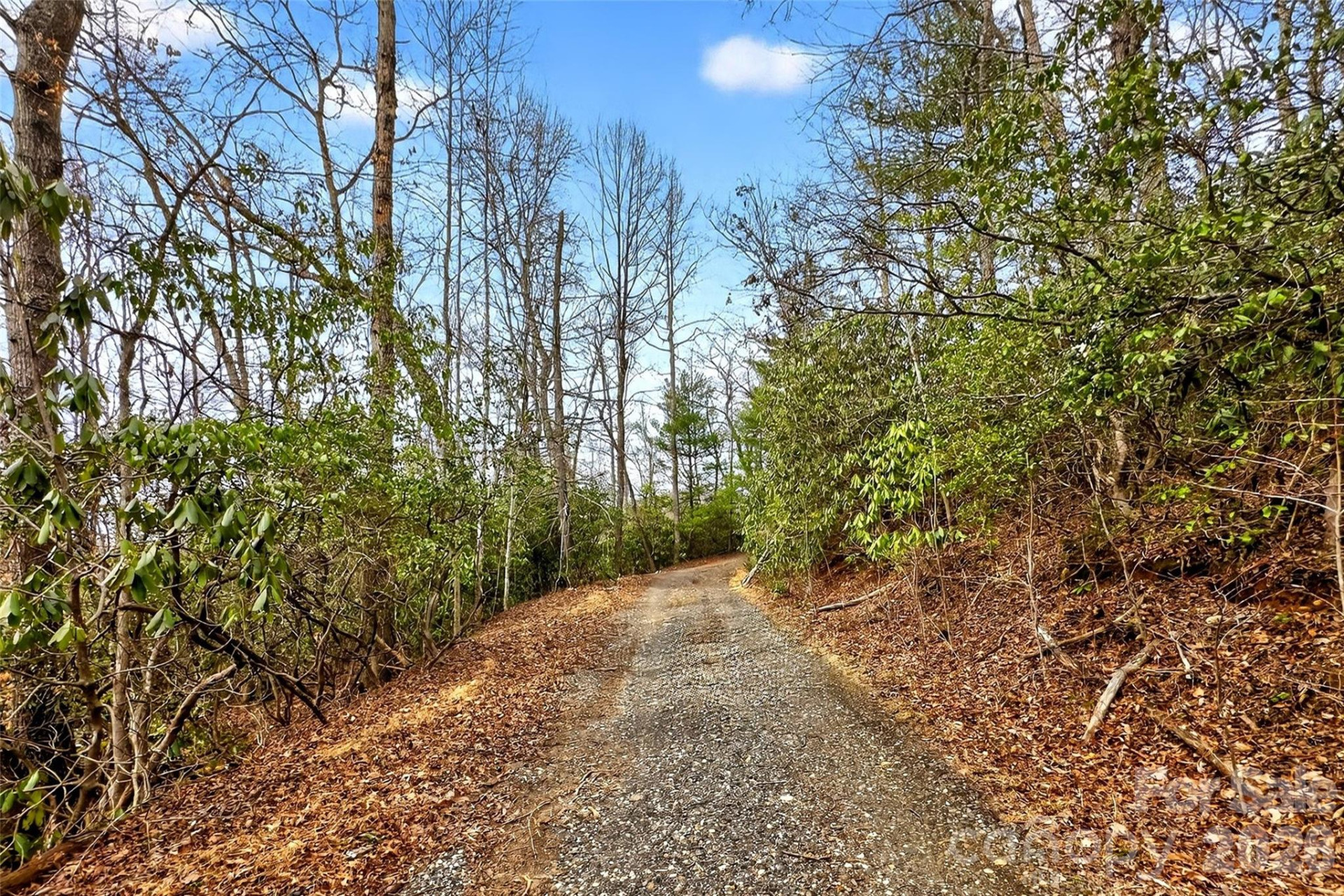 TBD Red Bird Road - Photo 8