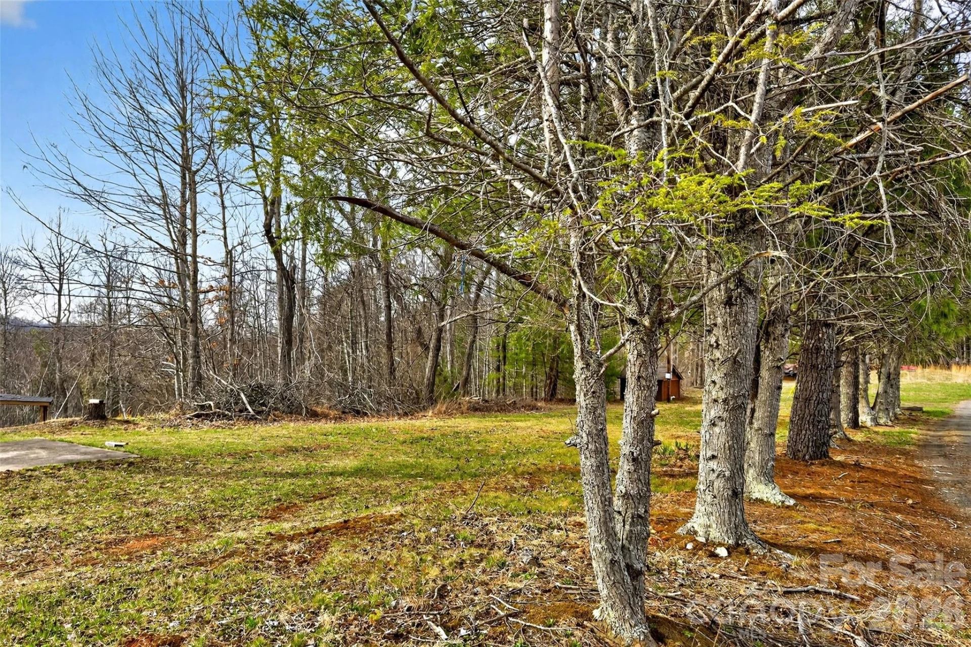 TBD Red Bird Road - Photo 10