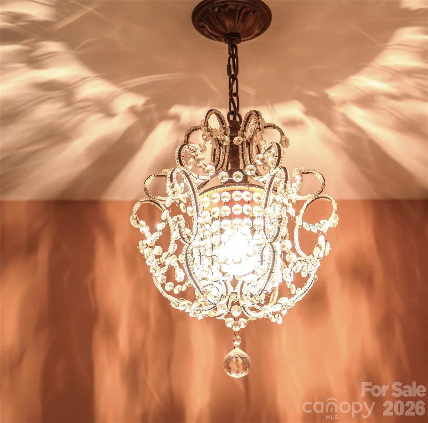 102 Fish Hawk Drive - Photo 29