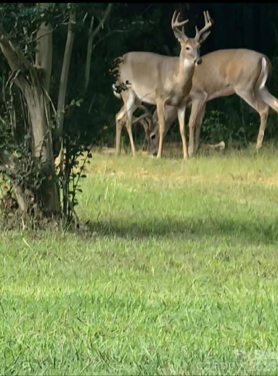 308 Frog Hollow Road - Photo 25