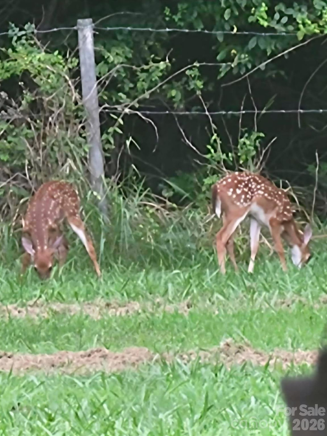 308 Frog Hollow Road - Photo 26