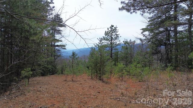 850 Harmonys Edge Drive, Old Fort, NC, 28762