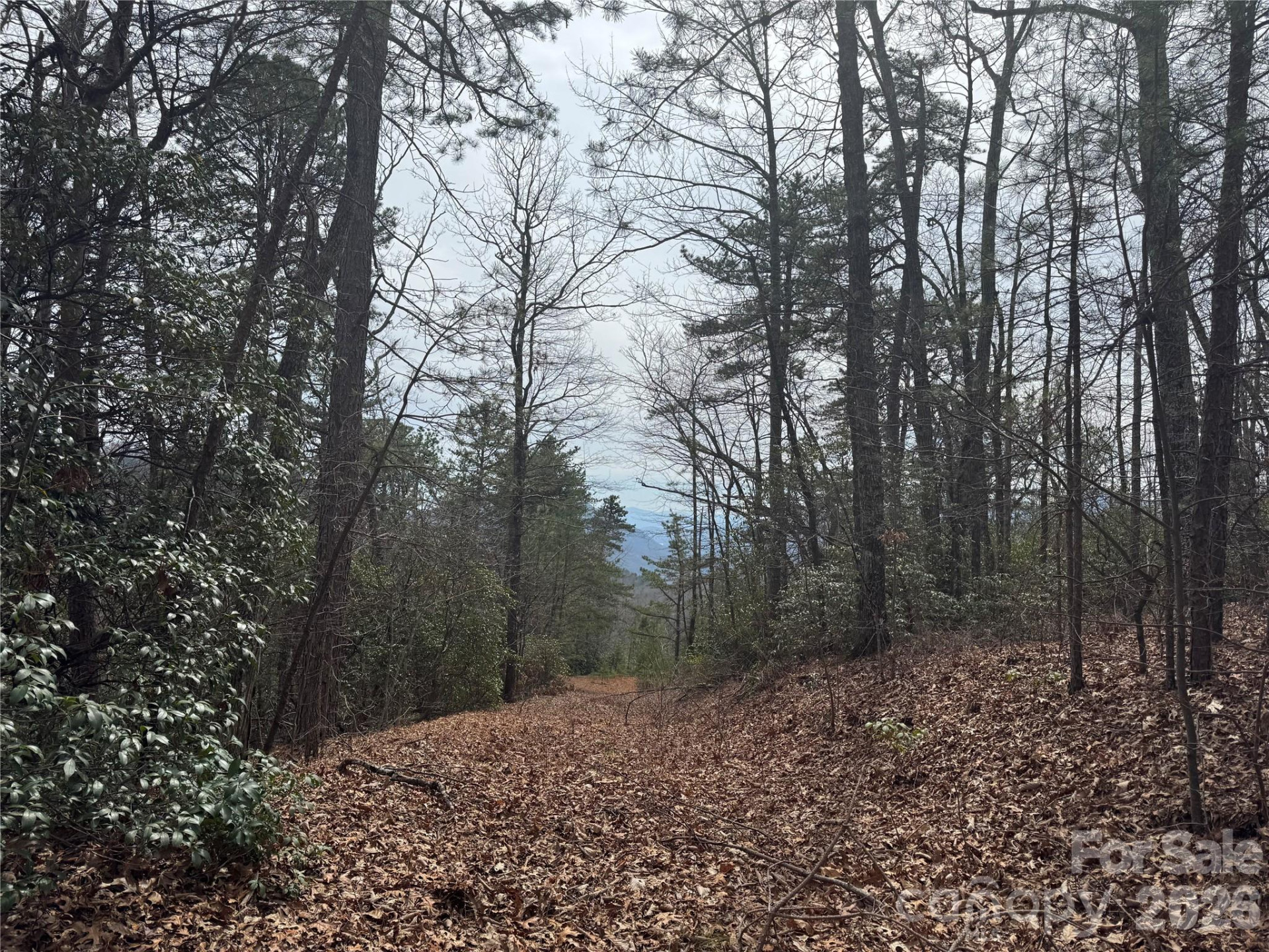 850 Harmonys Edge Drive #850 - Photo 2