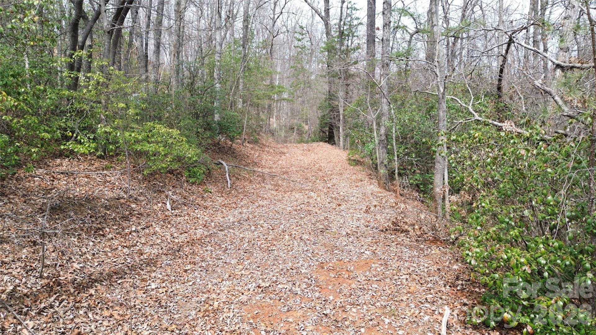 850 Harmonys Edge Drive #850 - Photo 5