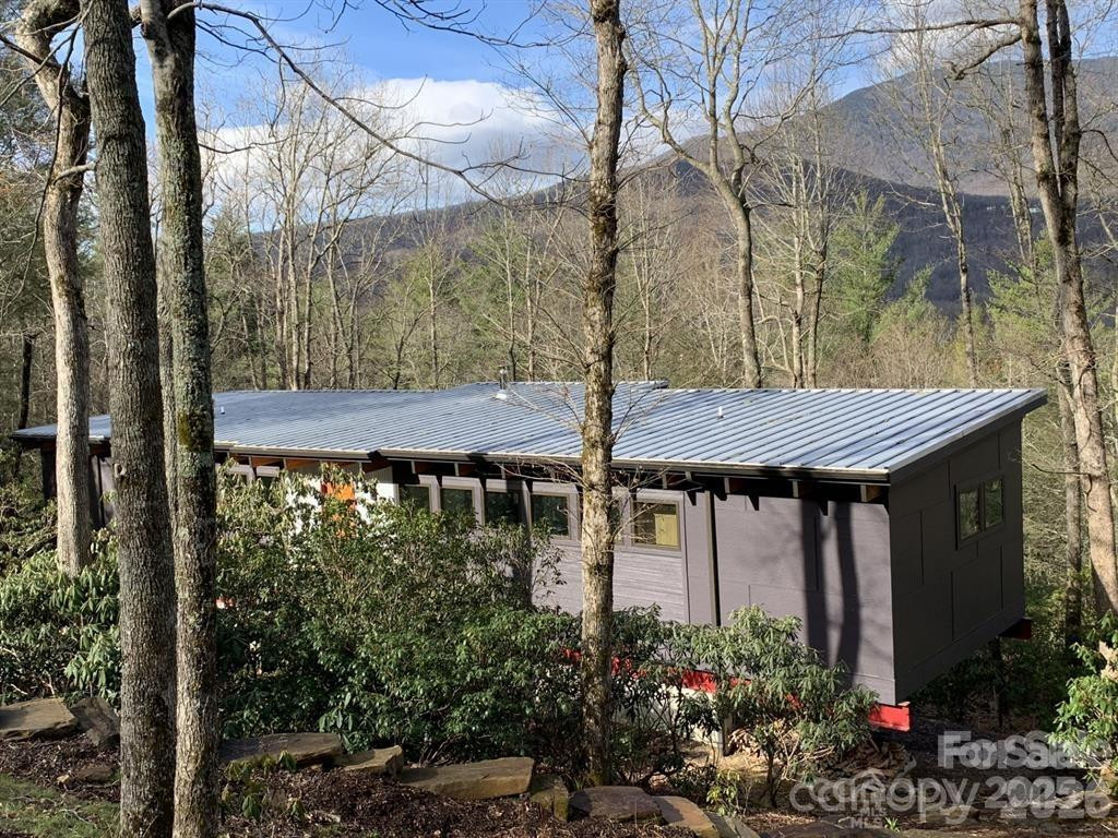 448 Mt. Mitchell Drive - Photo 2