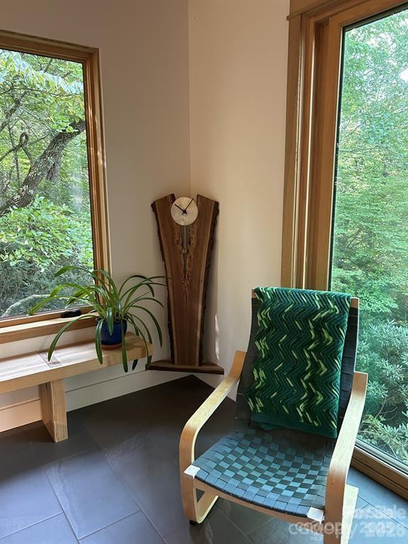 448 Mt. Mitchell Drive - Photo 20