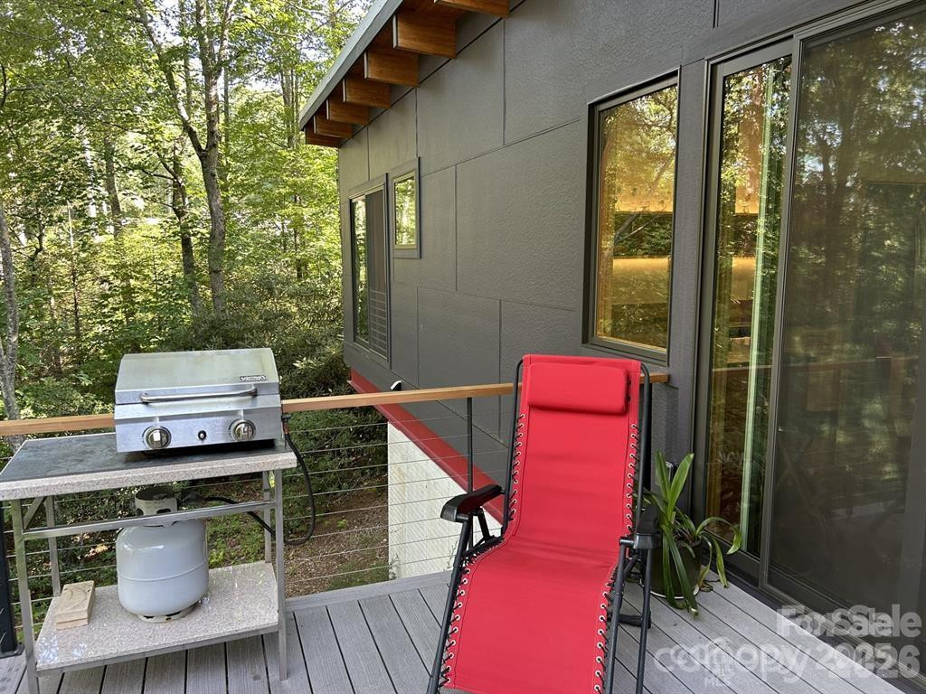 448 Mt. Mitchell Drive - Photo 30