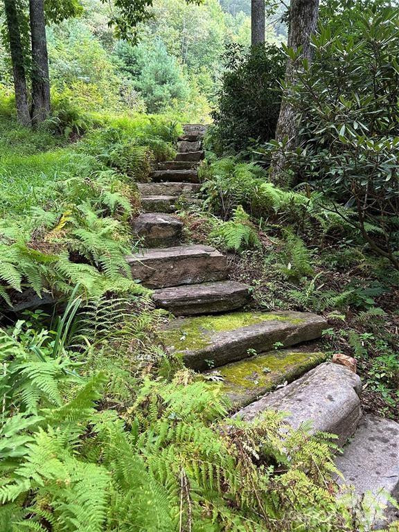 448 Mt. Mitchell Drive - Photo 33