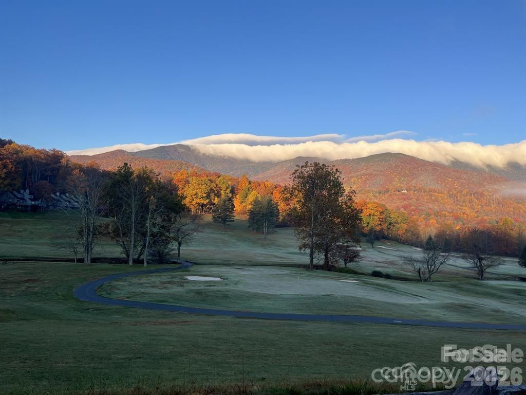 448 Mt. Mitchell Drive - Photo 38