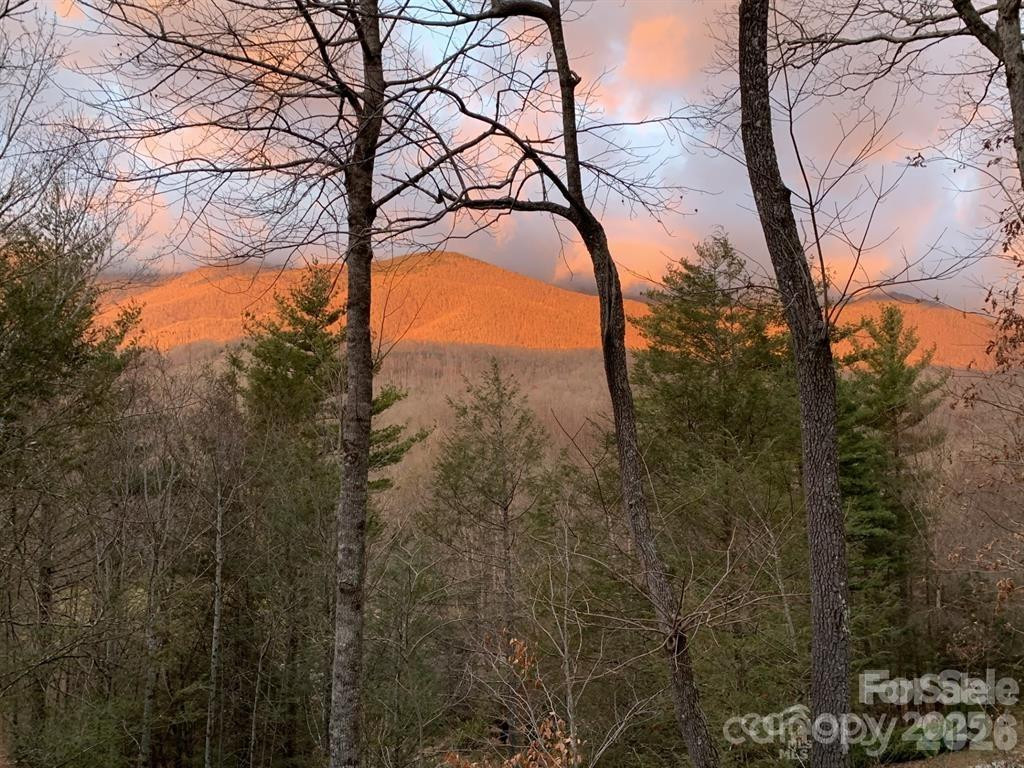 448 Mt. Mitchell Drive - Photo 39