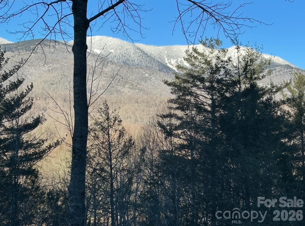 448 Mt. Mitchell Drive - Photo 40