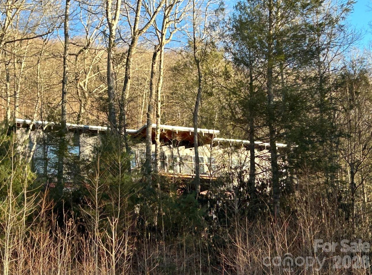 448 Mt. Mitchell Drive - Photo 41