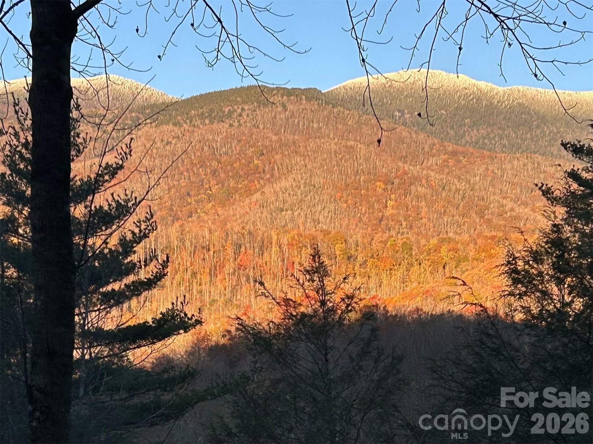 448 Mt. Mitchell Drive - Photo 42