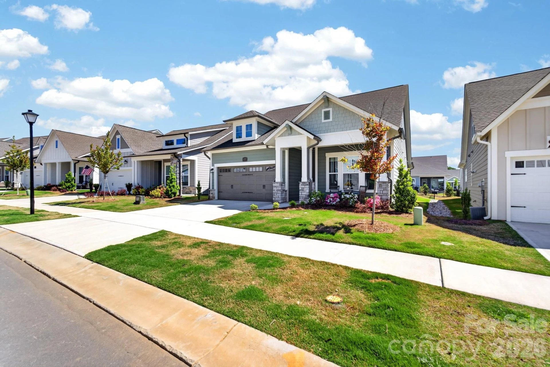 1127 Meander Lane - Photo 4
