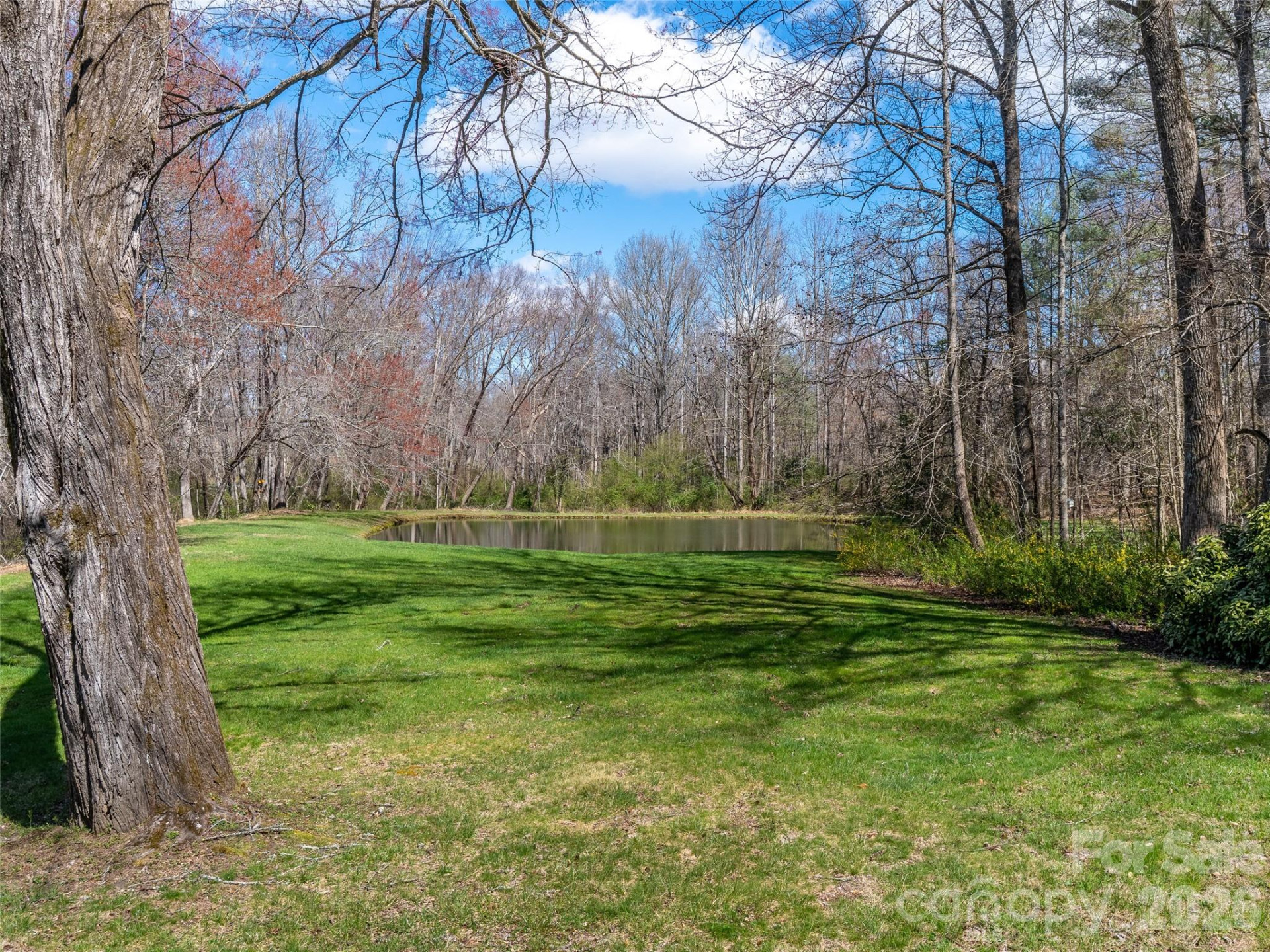 86 View De Lake Drive - Photo 3