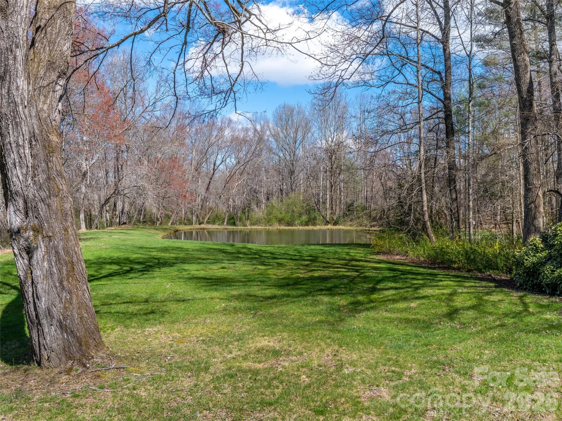 86 View De Lake Drive - Photo 3