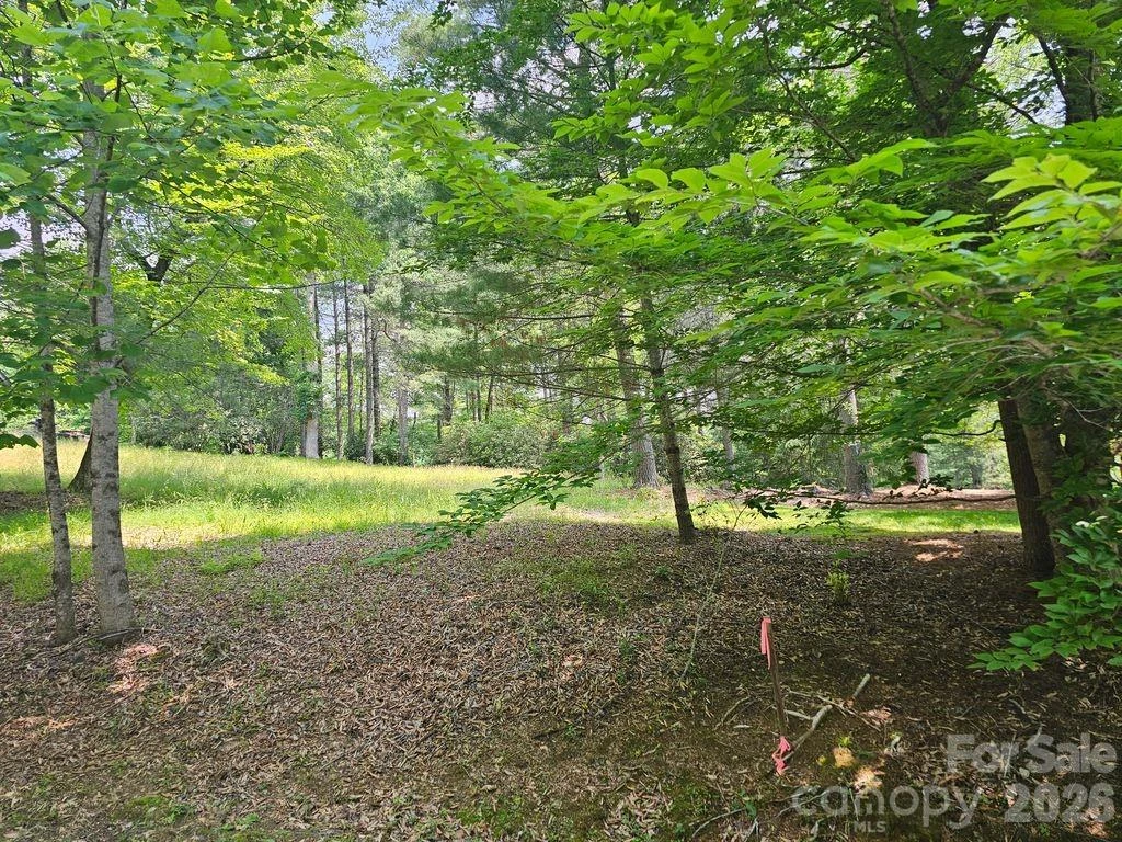 A3 Allison Creek Trail #A3