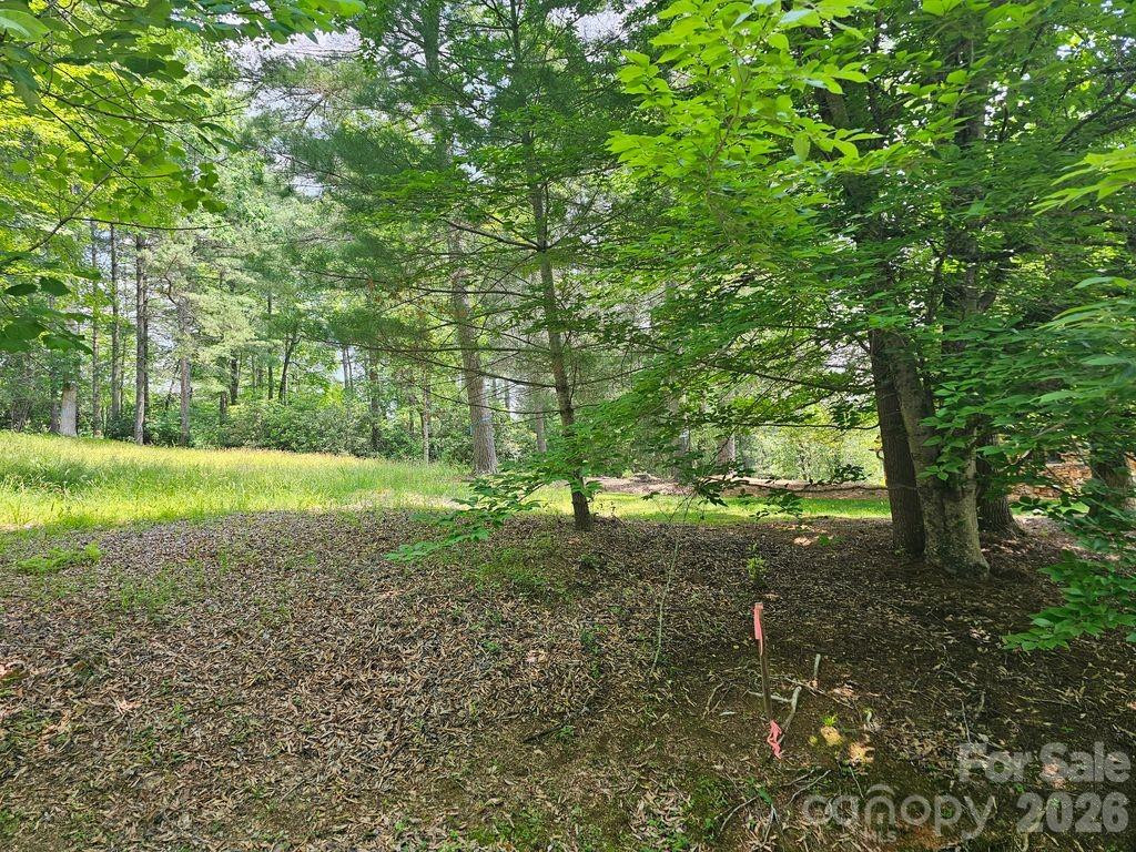 A3 Allison Creek Trail #A3 - Photo 2