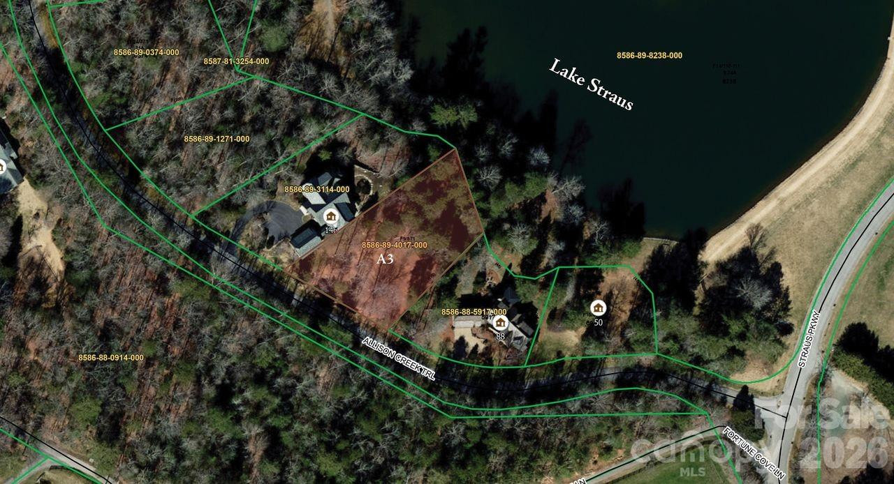 A3 Allison Creek Trail #A3 - Photo 3