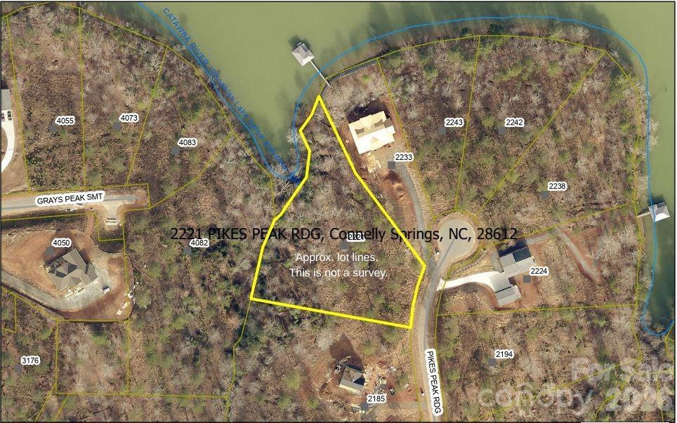 2221 Pikes Peak Ridge - Photo 2