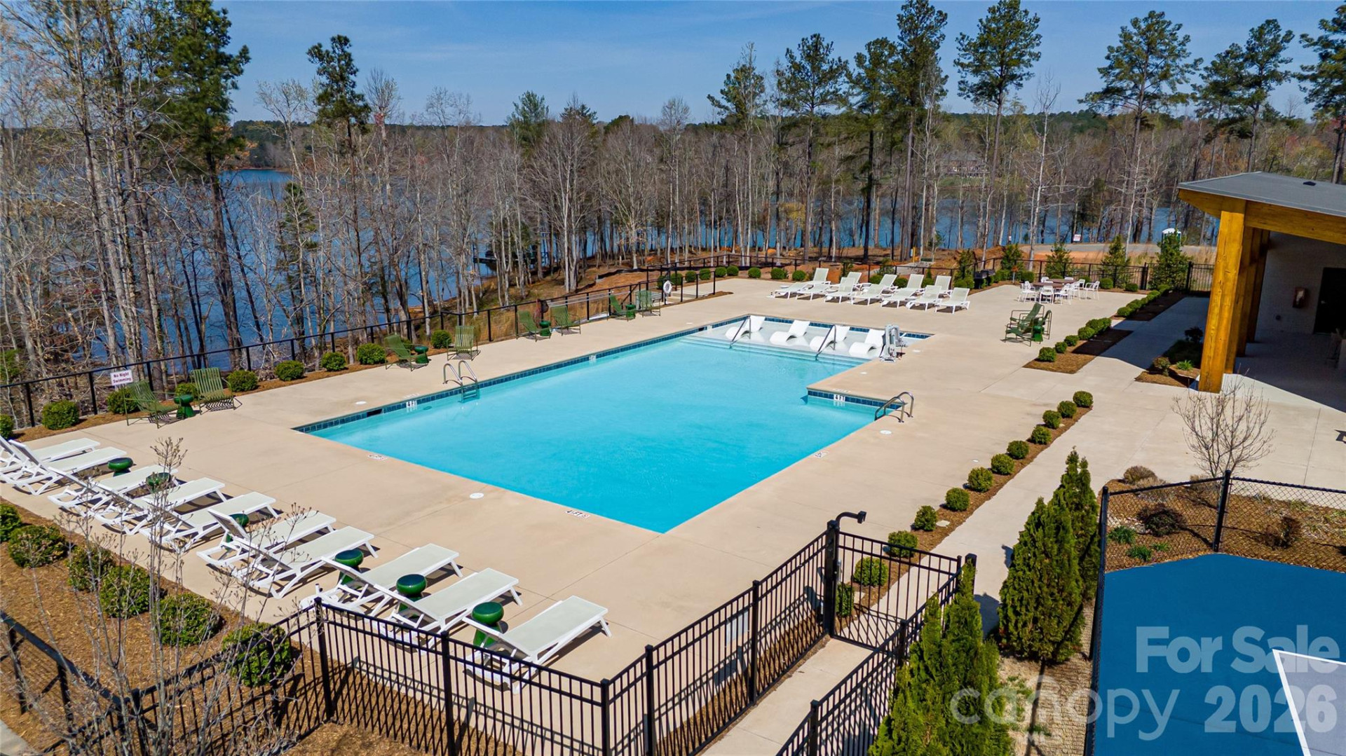 2221 Pikes Peak Ridge - Photo 11