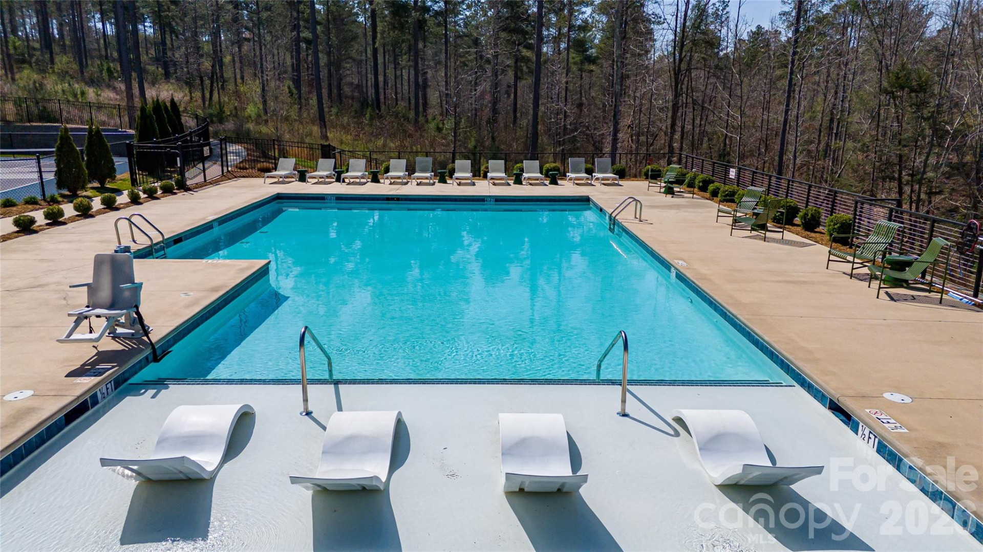 2221 Pikes Peak Ridge - Photo 12