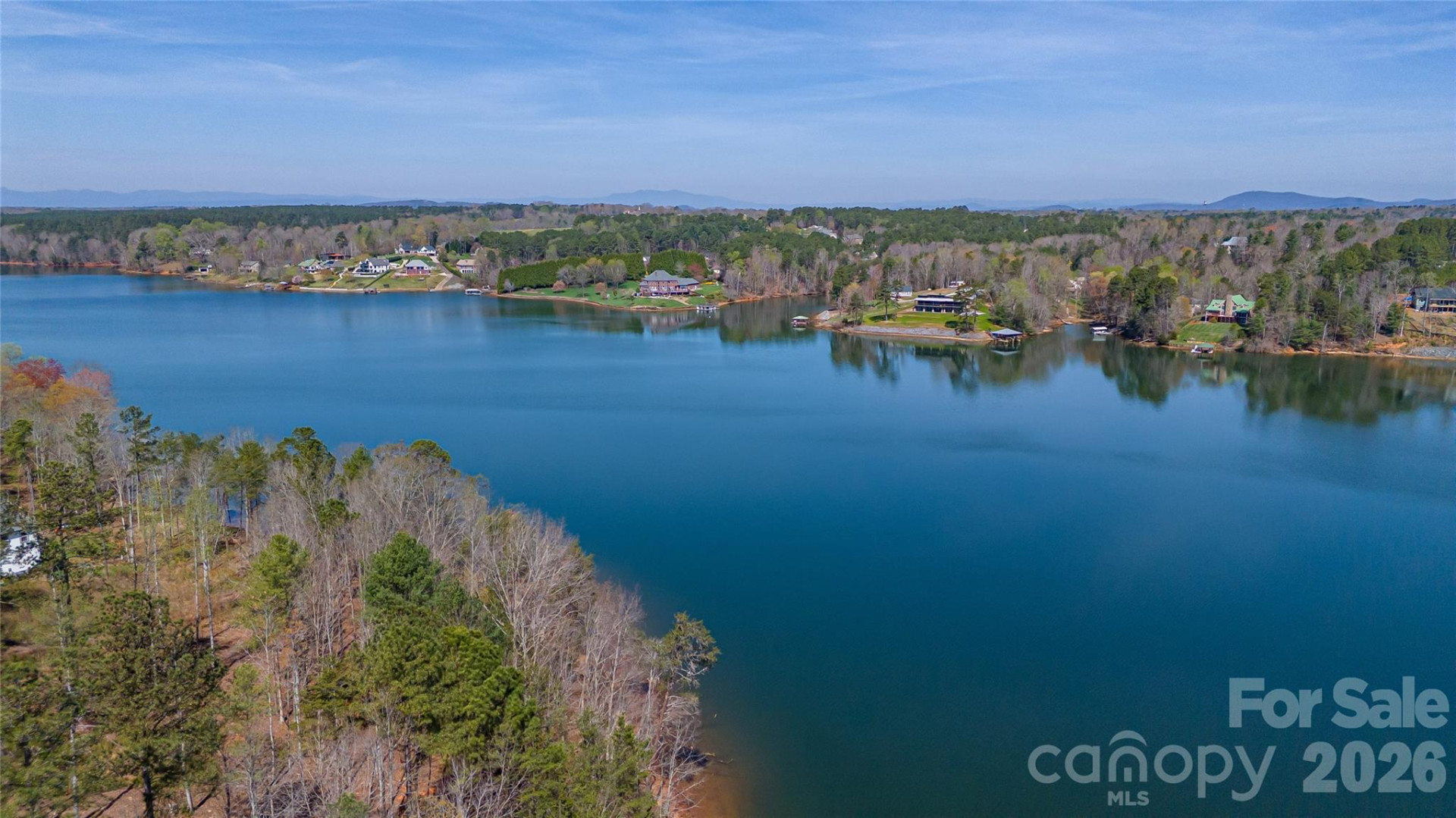 2221 Pikes Peak Ridge - Photo 3