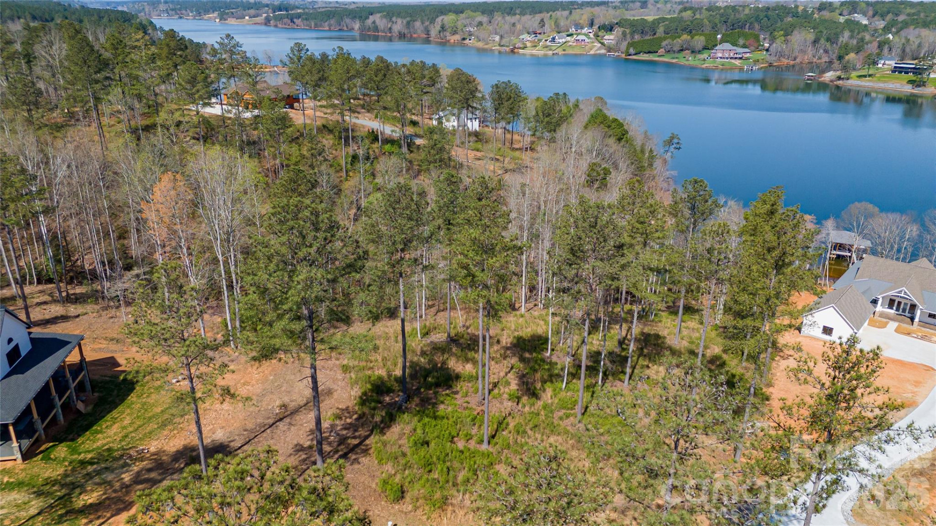 2221 Pikes Peak Ridge - Photo 4