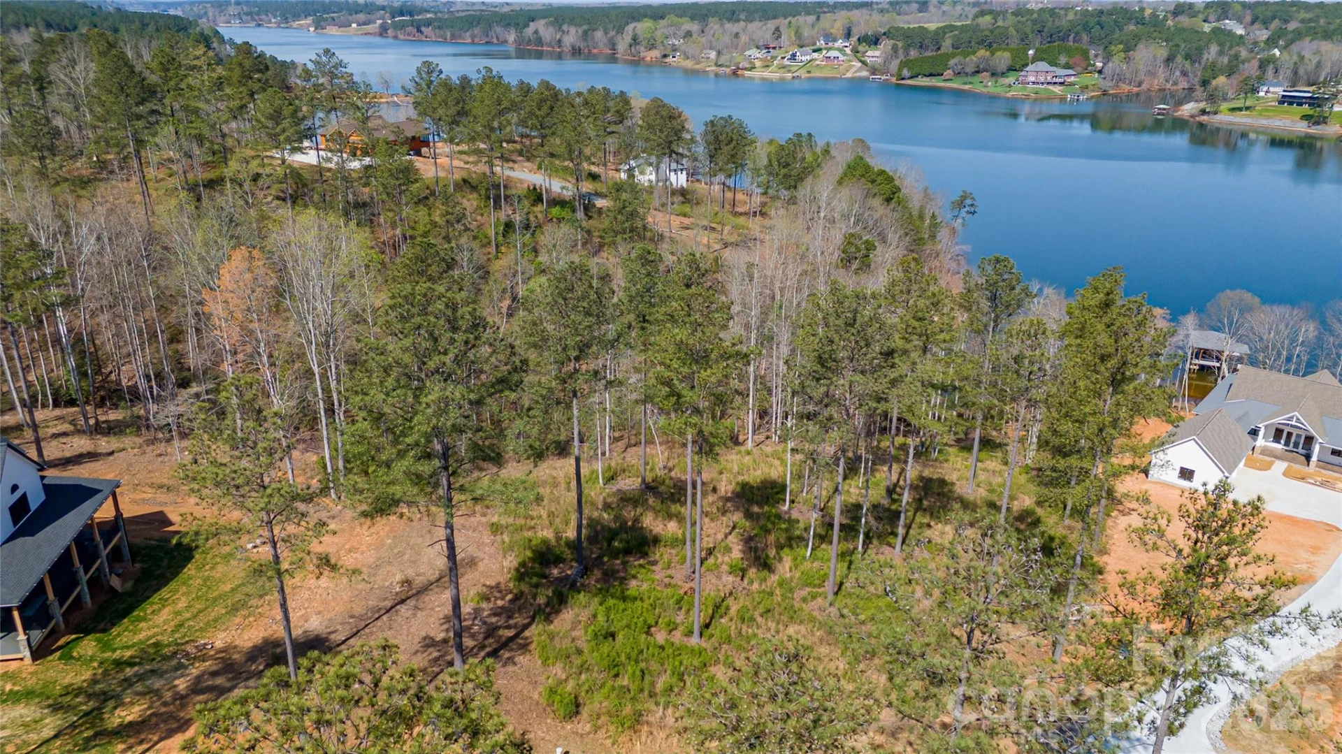 2221 Pikes Peak Ridge - Photo 4