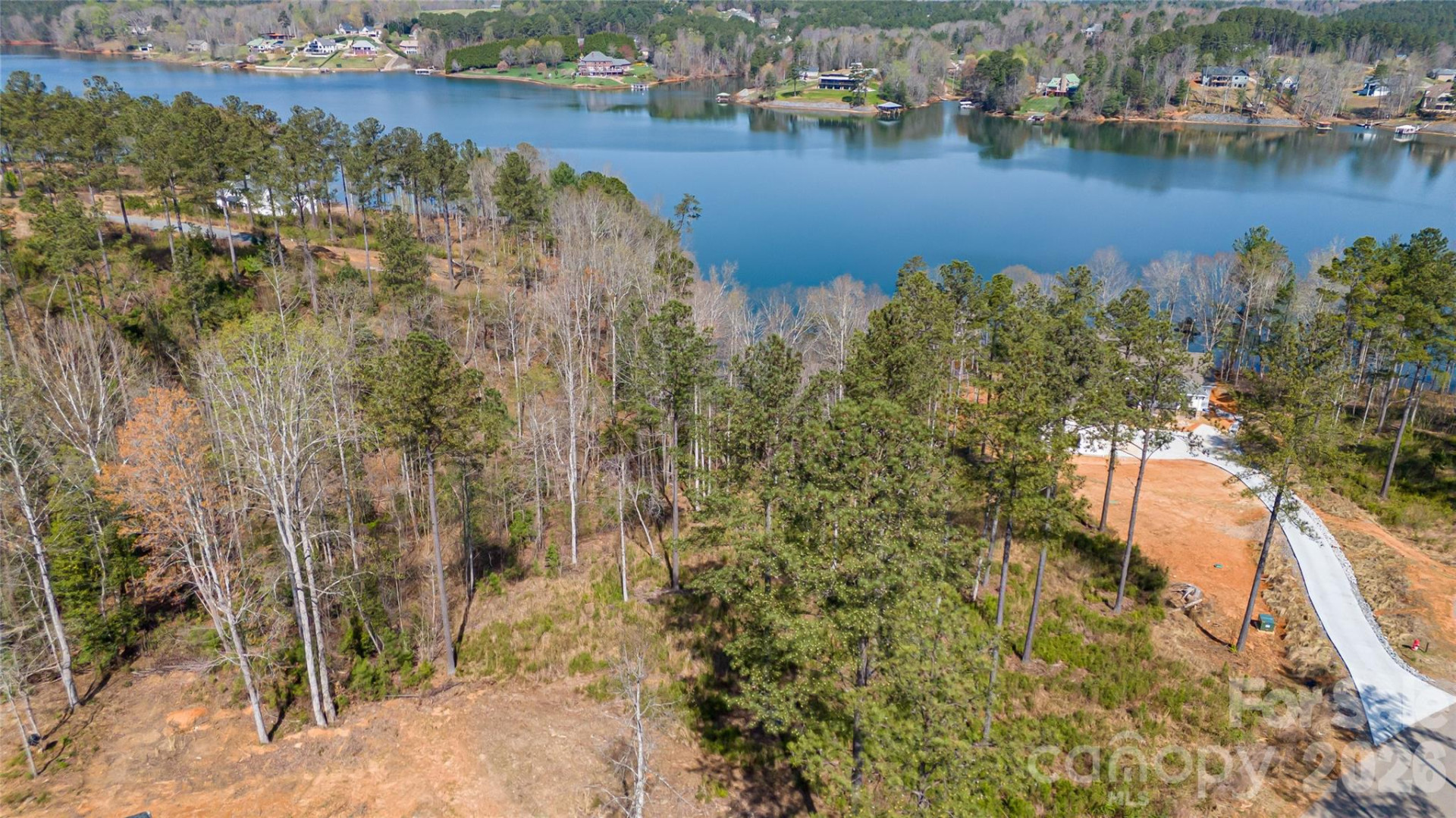 2221 Pikes Peak Ridge - Photo 5