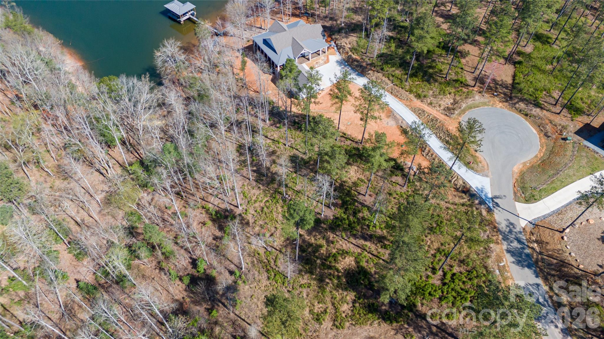 2221 Pikes Peak Ridge - Photo 6