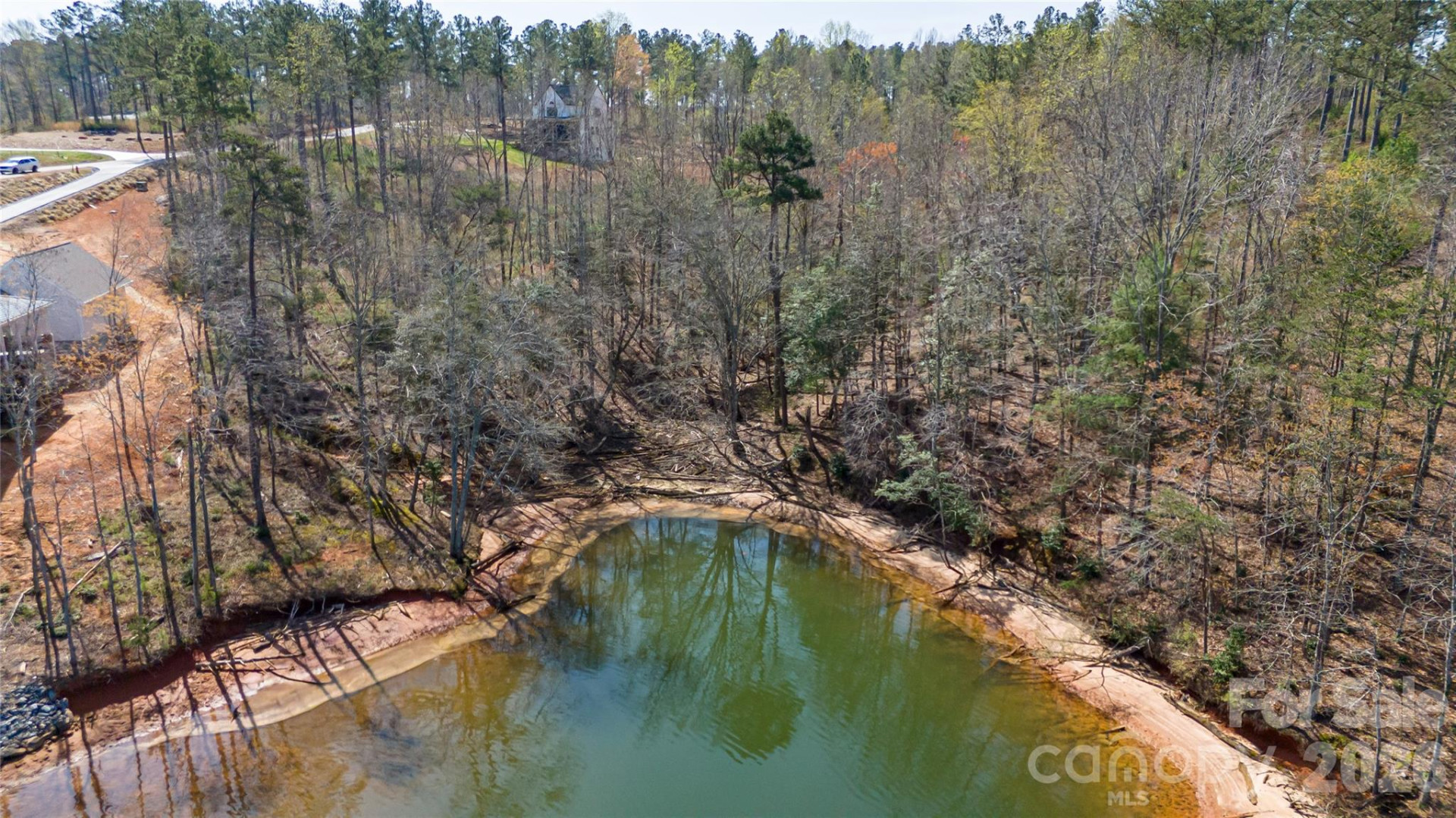 2221 Pikes Peak Ridge - Photo 7