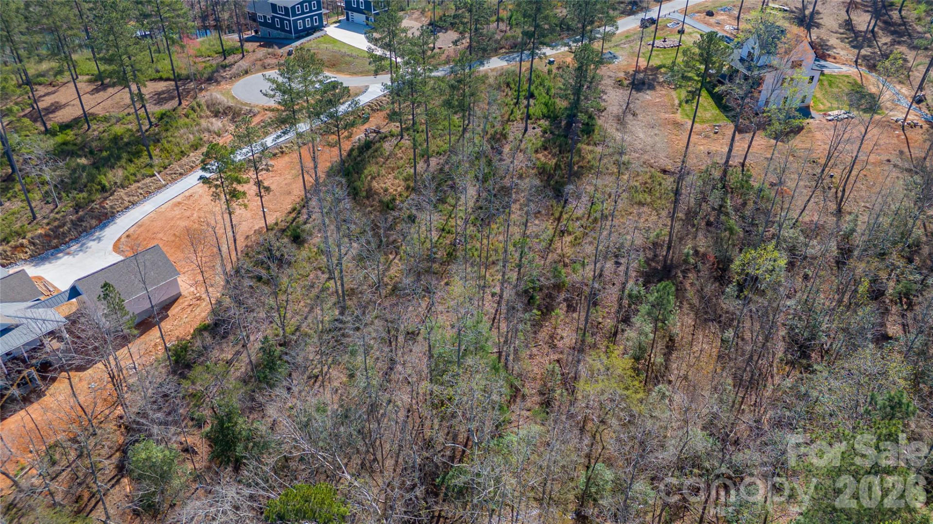 2221 Pikes Peak Ridge - Photo 9