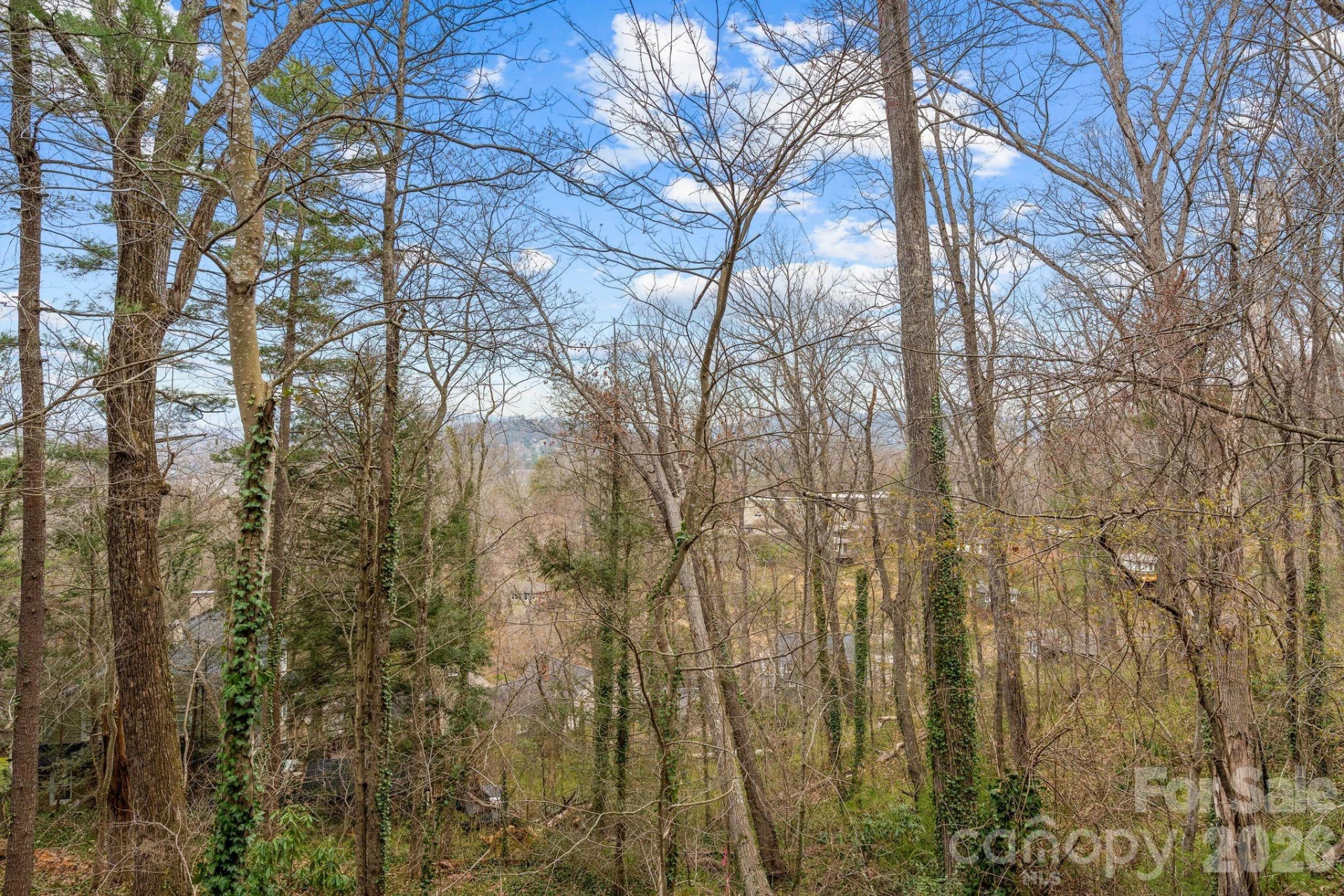 355 Sunset Drive - Photo 28