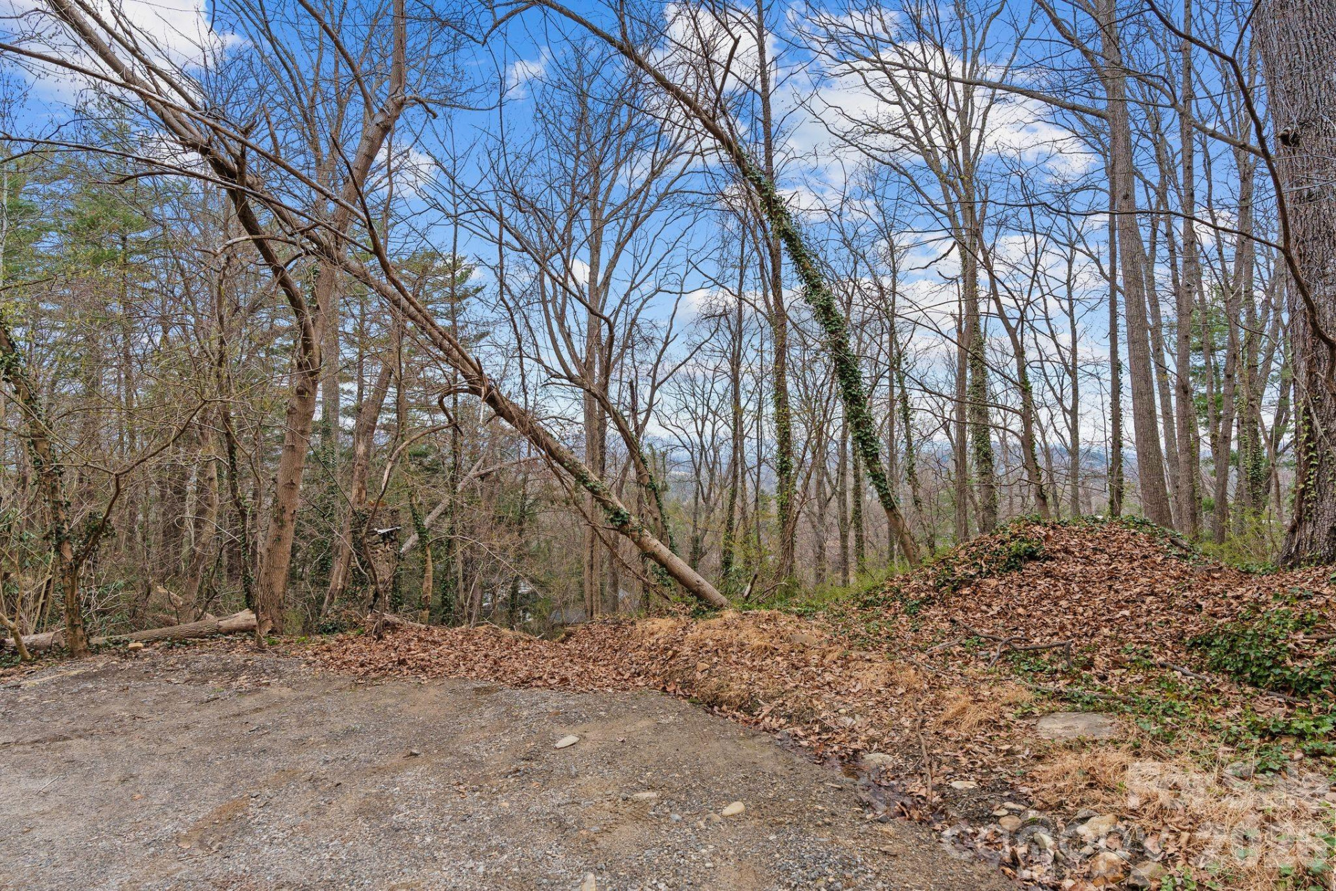 355 Sunset Drive - Photo 5