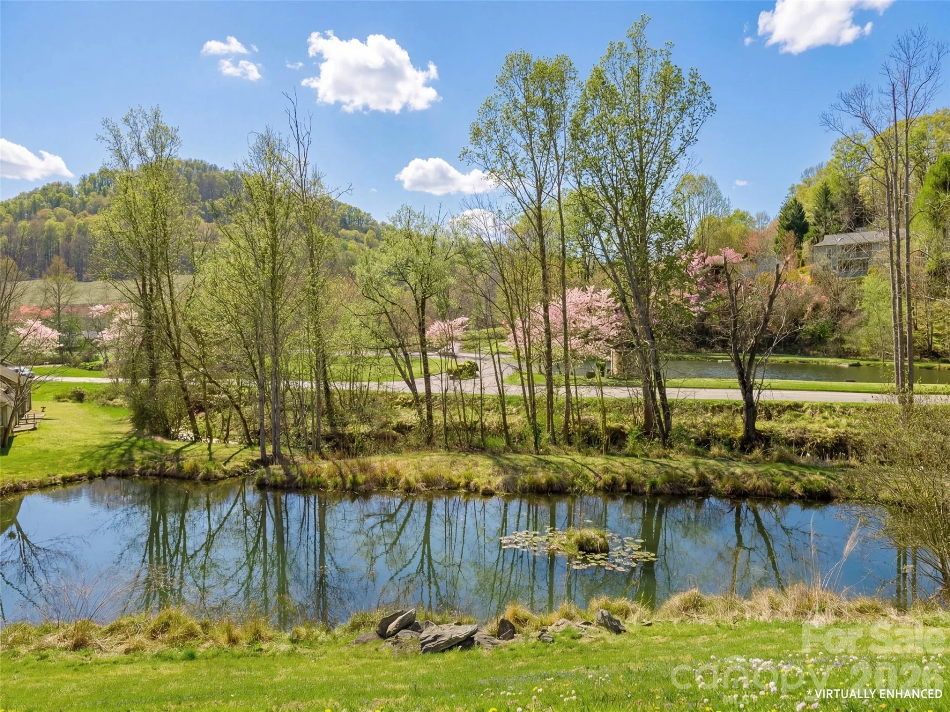 203 Rocky Mountain Way - Photo 8