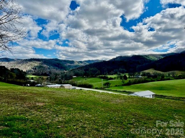 137 Cowboy Lane - Photo 11