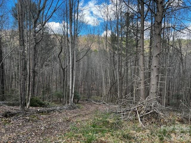 137 Cowboy Lane - Photo 12