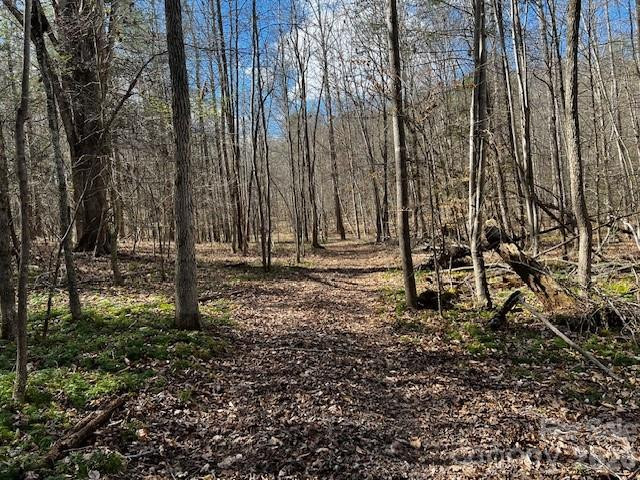 137 Cowboy Lane - Photo 13