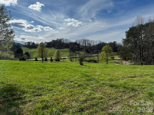 137 Cowboy Lane - Photo 5