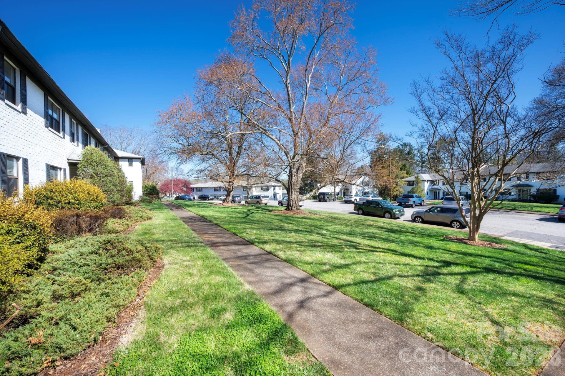 615 Biltmore Avenue #T8 - Photo 20