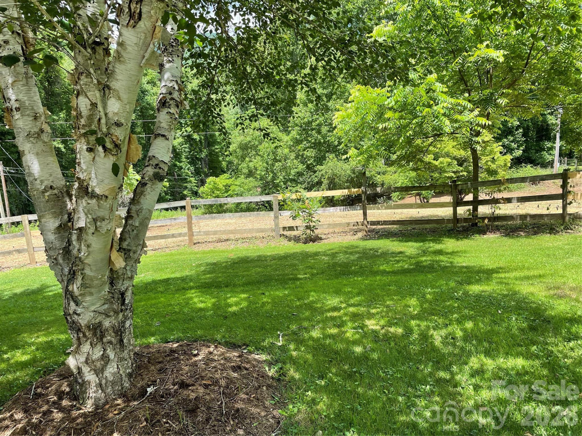 11820 State Highway 197 None - Photo 3