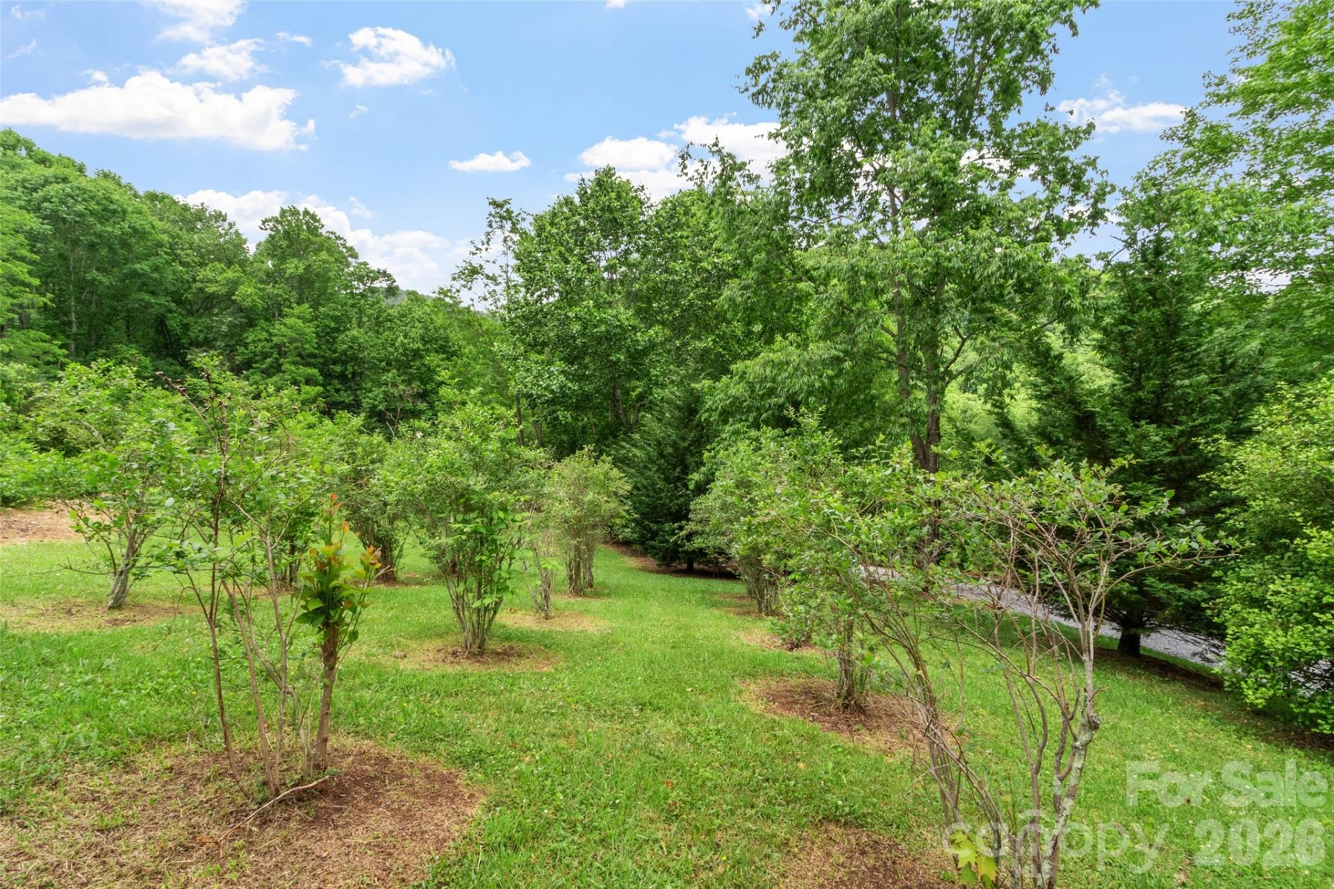11820 State Highway 197 None - Photo 39