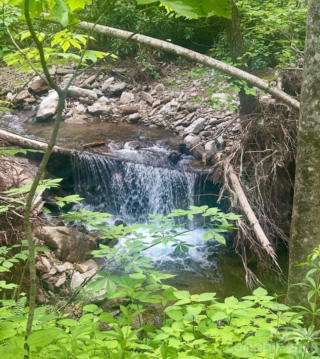 11820 State Highway 197 None - Photo 43