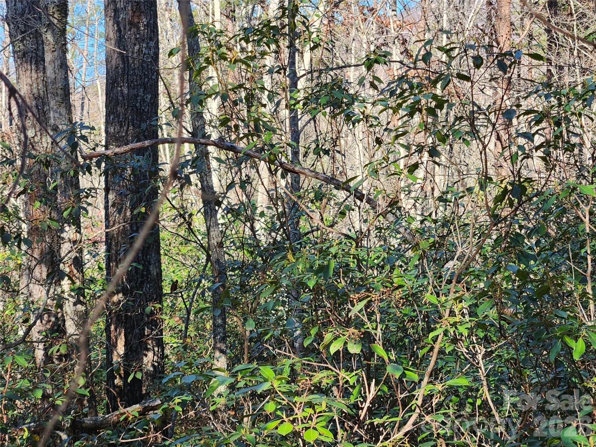 Lot 4 Whitney Boulevard
