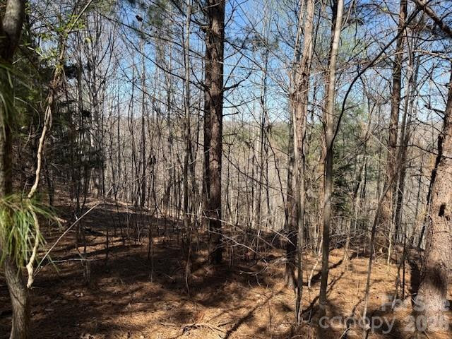 00 Hope Drive - Photo 11