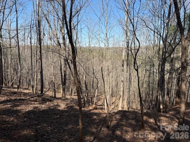 00 Hope Drive - Photo 12