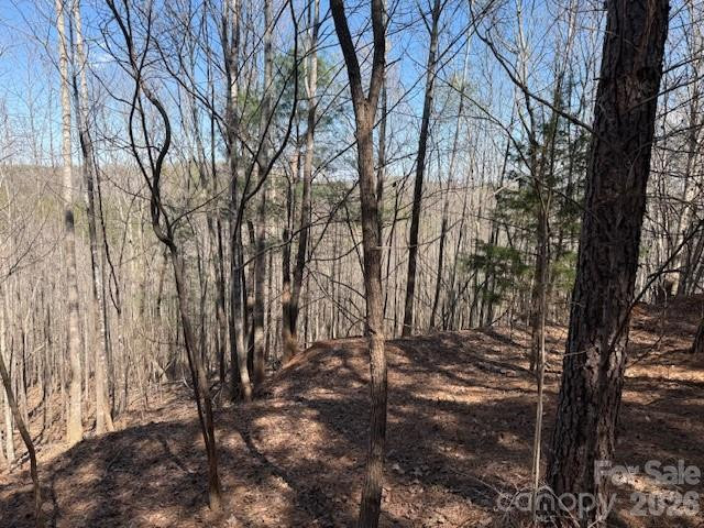 00 Hope Drive - Photo 13