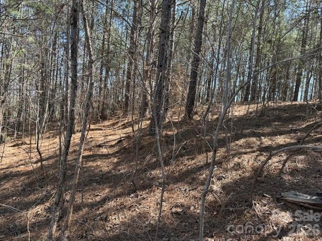 00 Hope Drive - Photo 14