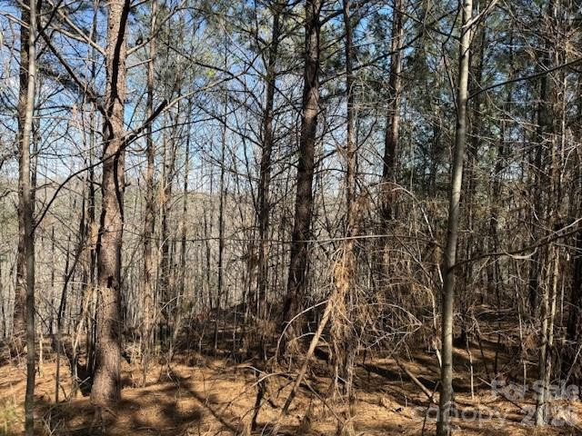 00 Hope Drive - Photo 15